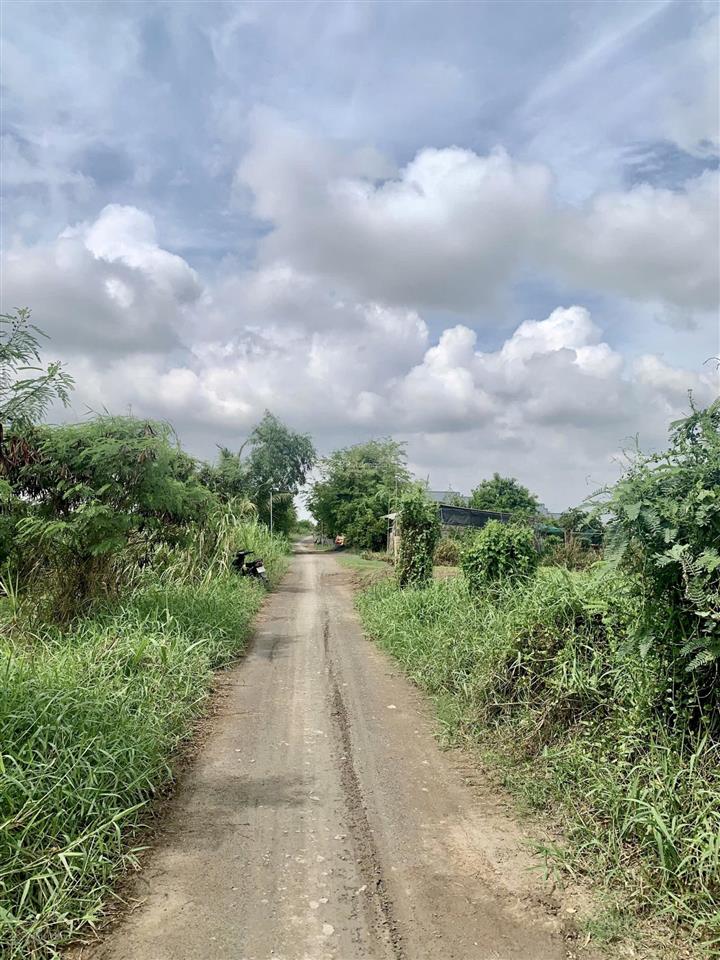 Bán đất 3000m2 tại nguyễn trãi, kiểng phước, gò công đông, 1,2 tỷ, view đẹp, chính chủ