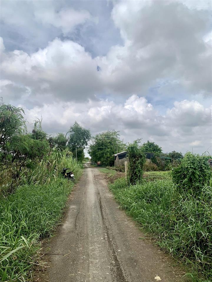 Bán đất 3000m2 tại nguyễn trãi, kiểng phước, gò công đông, 1,2 tỷ, view đẹp, chính chủ