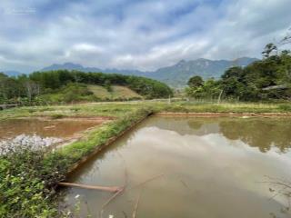 Chính chủ gửi bán lô đất thổ cư, đất nghỉ dưỡng 2000m2 view cánh đồng giá chỉ 5xx tr