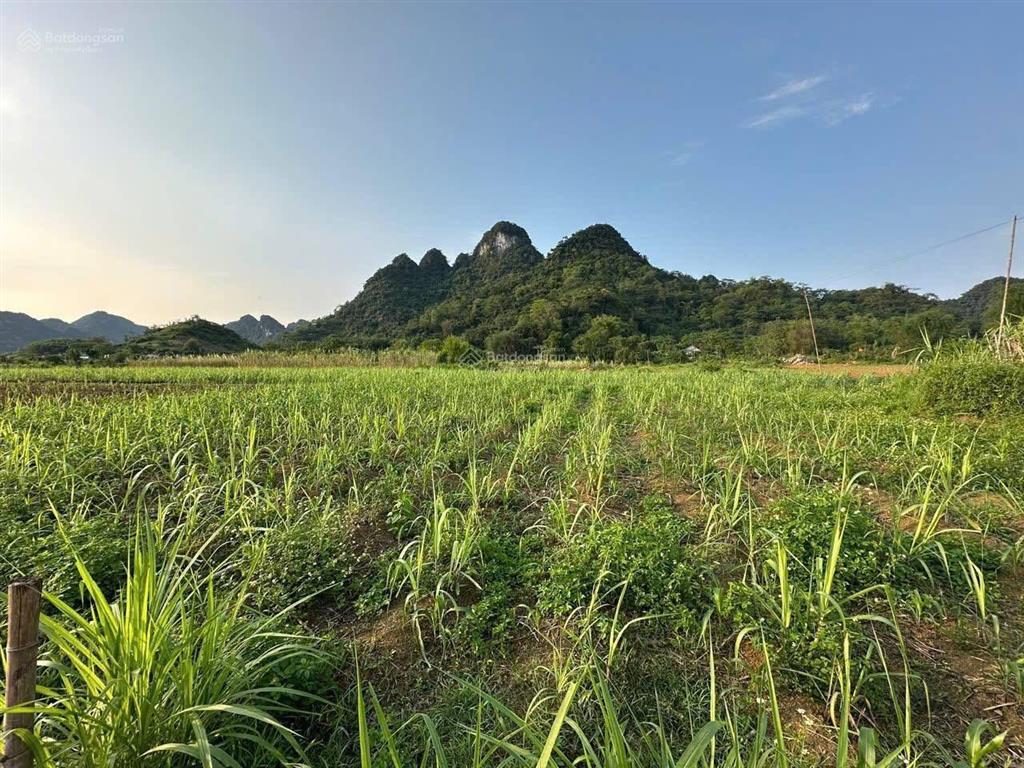 Lô đất f0 chưa qua đầu tư, view cánh đồng chủ cần tiền bán gấp chỉ 399tr rẻ hơn thị trường 100tr