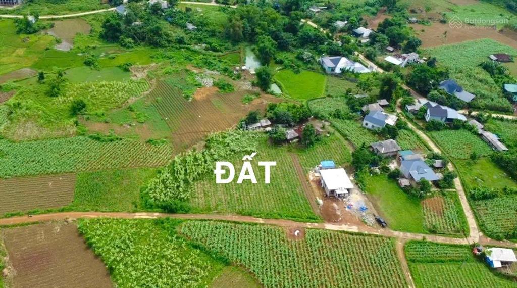 Lô đất f0 chưa qua đầu tư, view cánh đồng chủ cần tiền bán gấp chỉ 399tr rẻ hơn thị trường 100tr
