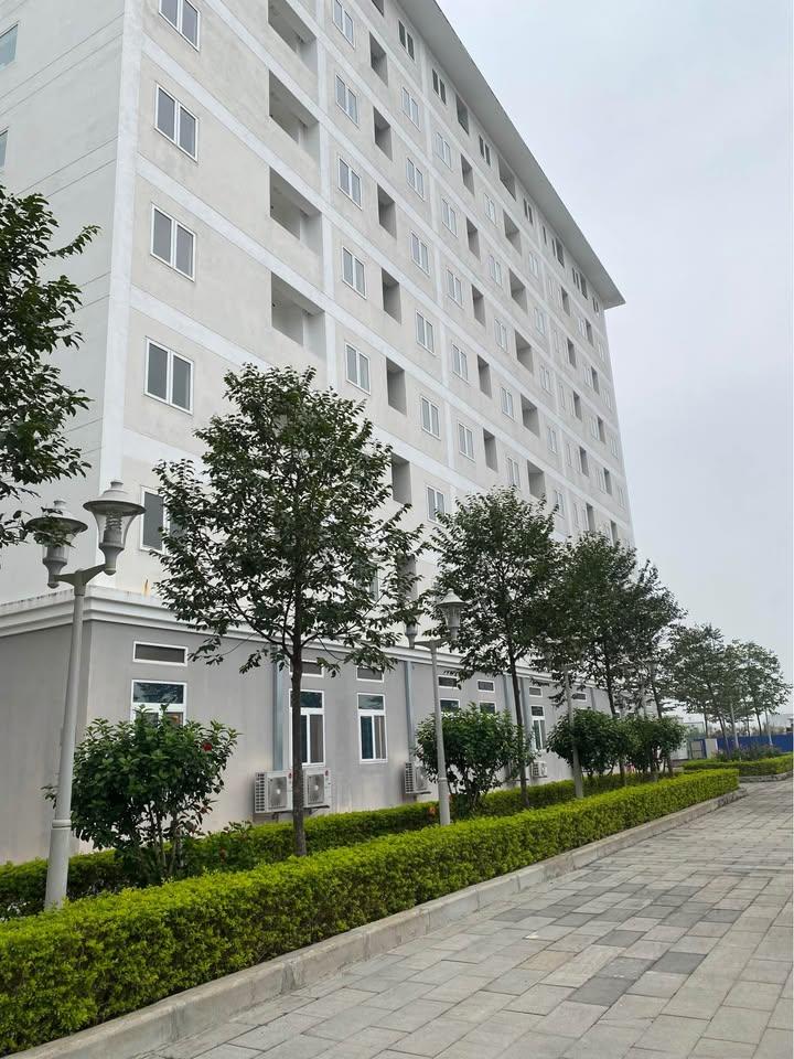 Chân đế chung cư Sun Jade thành phố Thanh Hóa -1.026 triệu