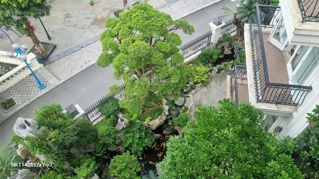 Siêu phẩm biệt thự đơn lập 2 mặt tiền  nhà view hồ điều hòa đẳng cấp nhất khu lideco