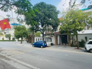 Biệt thự siêu đẹp khu vip bán đảo linh đàm  vị trí kinh doanh đắc địa 58 tỷ.