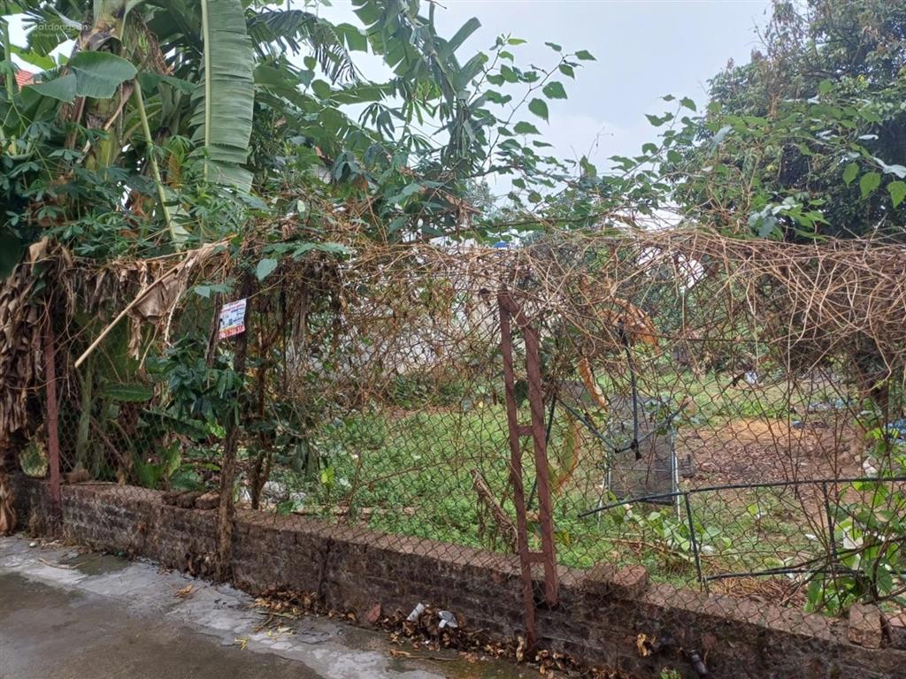 Bán 440m2 đất minh trí mt 12m ô tô vào đất chia 2 lô đẹp giá rẻ nhất khu vực