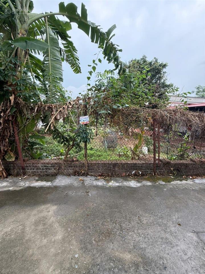 Bán 440m2 đất minh trí mt 12m ô tô vào đất chia 2 lô đẹp giá rẻ nhất khu vực