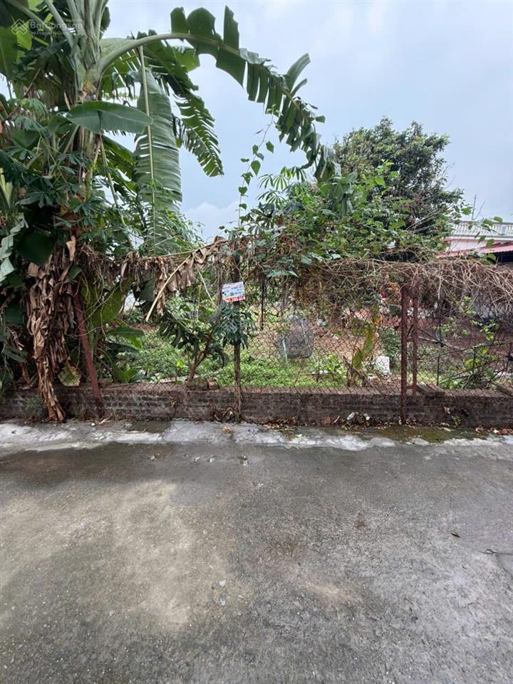 Bán 440m2 đất minh trí mt 12m ô tô vào đất chia 2 lô đẹp giá rẻ nhất khu vực