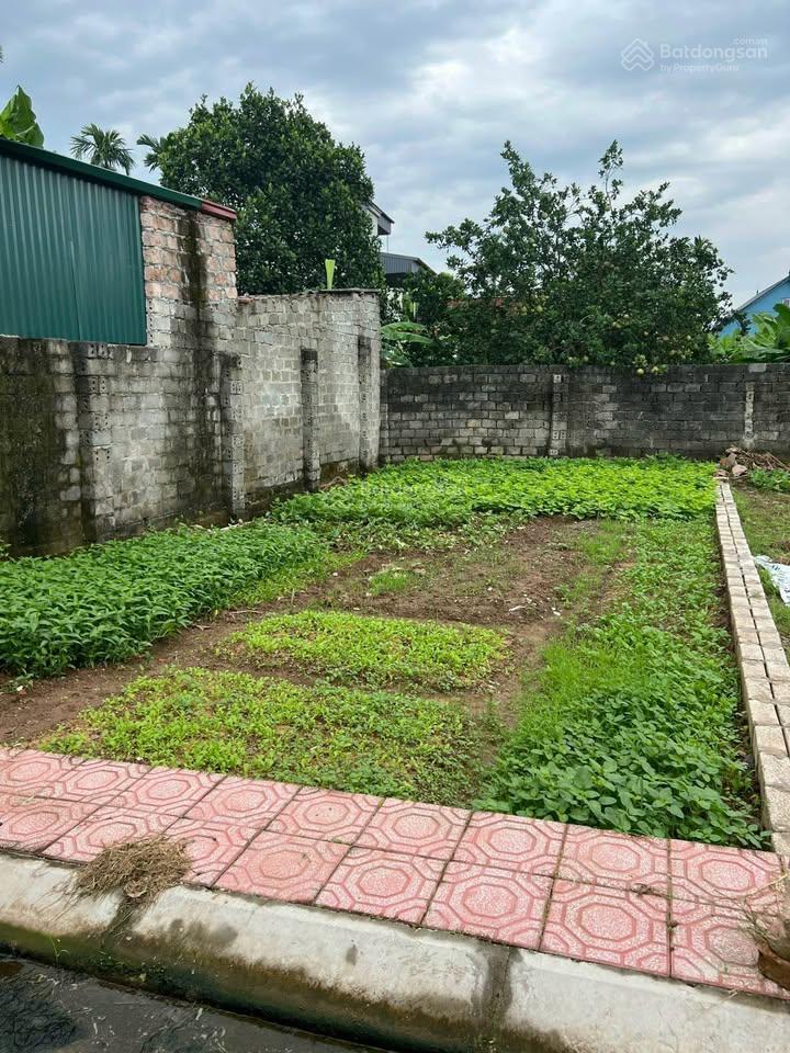 Bán đất phân lô tại mỹ xuyên, huyện mỹ đức, hà nội