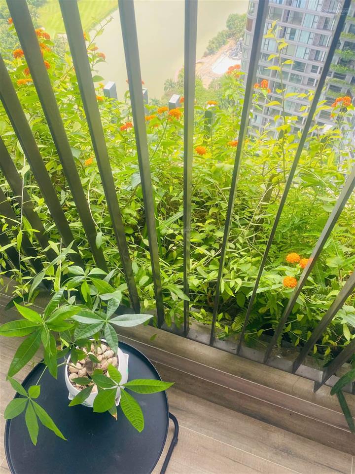 Cần bán căn hộ studio 31m2 đủ đồ view hồ thiên nga bc  đn toà l2 landmark.hl 0964 007 *** ạ