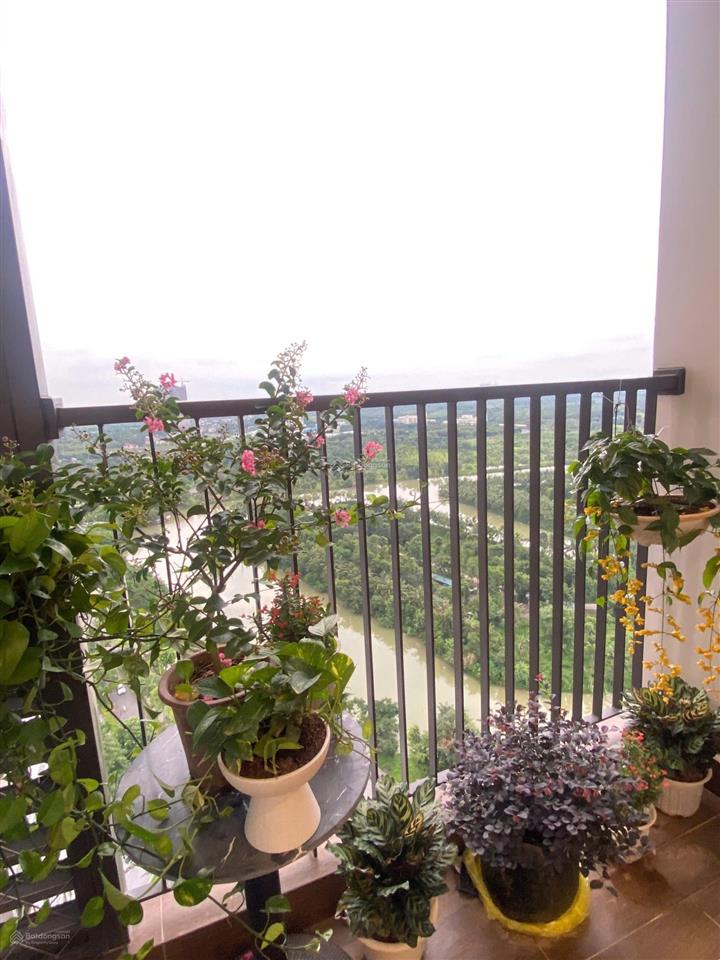 Cần bán căn hộ 2pn 2wc 58m2 đủ đồ view đảo ban công đb toà sp sky oasis ecopark