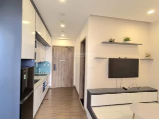 Mời thuê căn hộ 1pn 1wc 33m2 đủ đồ view đảo ban công đn toà s3 sky oasis ecopark