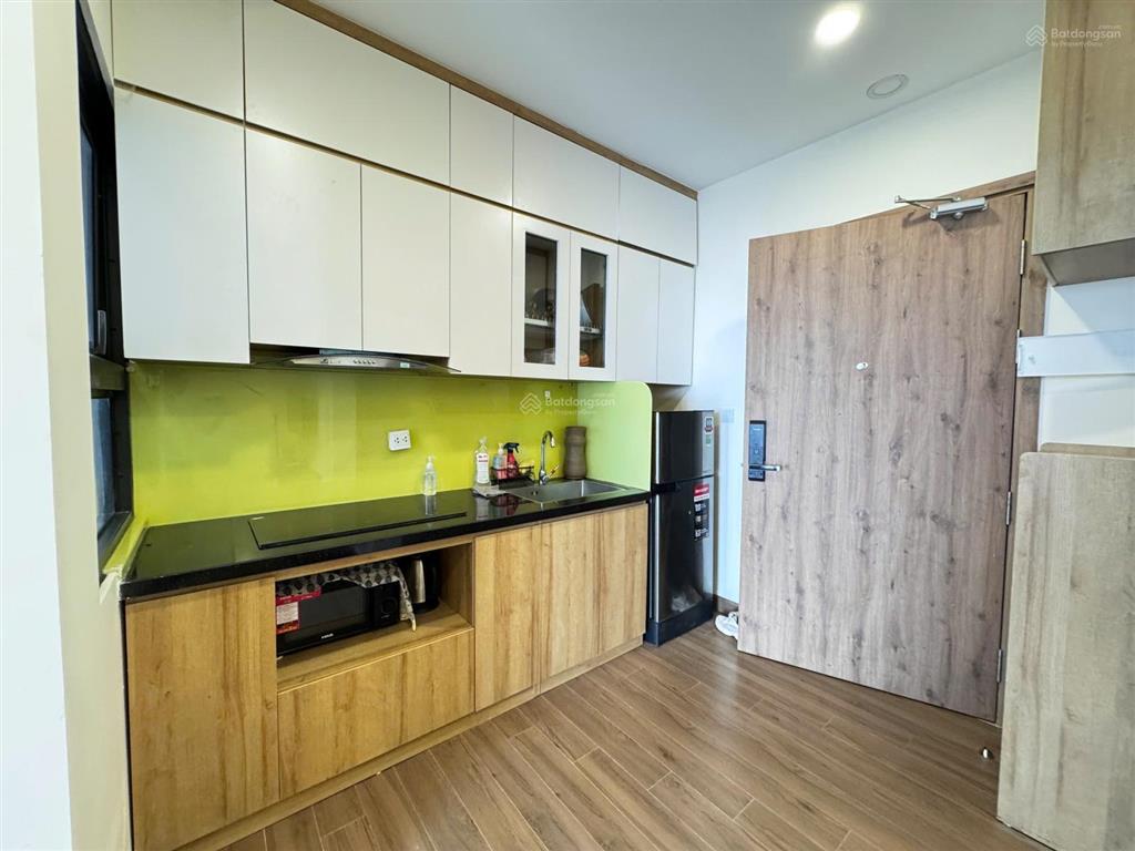 Cần bán căn hộ 1pn 1wc 35m2 đủ đồ view sông hồng toà s2 sky oasis ecopark