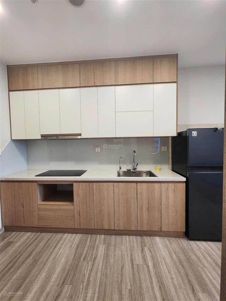 Mời thuê căn hộ studio 30m2 đủ đồ view sông hồng ban công hướng nam toà sf3 sky forest ecopark
