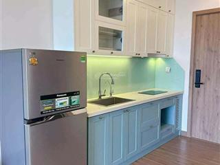 Cần bán căn hộ studio 29m2 full đồ view sông hồng toà sp sky oasis ecopark