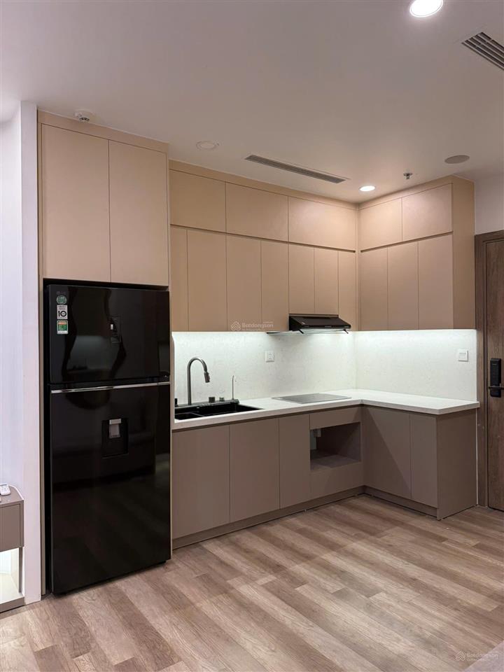 Cần bán căn hộ 2pn 1wc 52m2 đủ đồ ban công hướng nam view sông hồng toà sol forest 1 ecopark