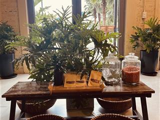 Cho thuê mặt bằng kinh doanh spa  địa trung hải và khu bãi kem