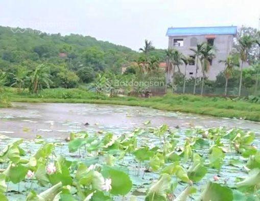 Bán lô đất 80m2 mt  phân lô  ô tô  giá 5 tỷ