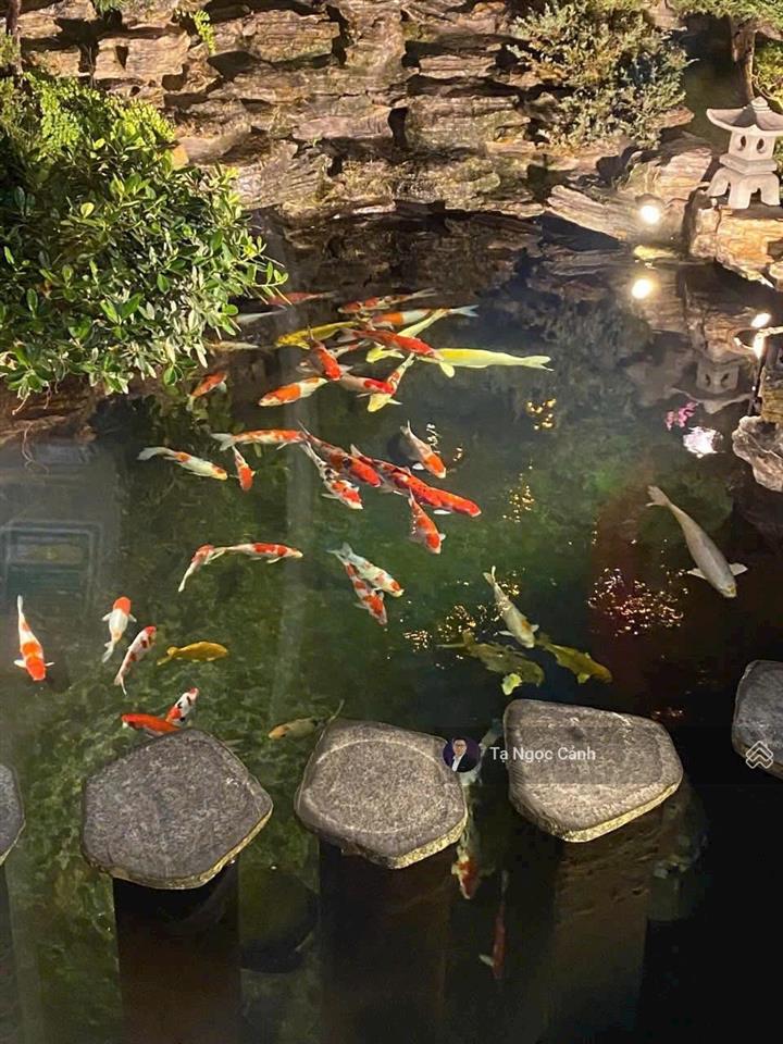 Bán nhà vuờn hoàn thiện mới, sân vuờn, hồ cá 50m2. giá mềm