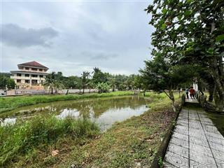 Bán thiền viện tại gia, ở bình sơn, long thành.
hạ. 10tỷ, 16.089m2 có 500 thổ, 730m2 hoàn công nhà