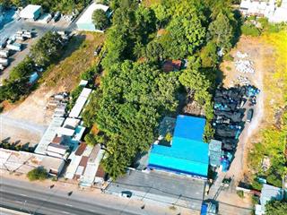 Bán kho mặt tiền ql51, bò sữa long thành 4193m2,đất mặt đường ql51, góc 2 mặt tiền,ngay bò sữa