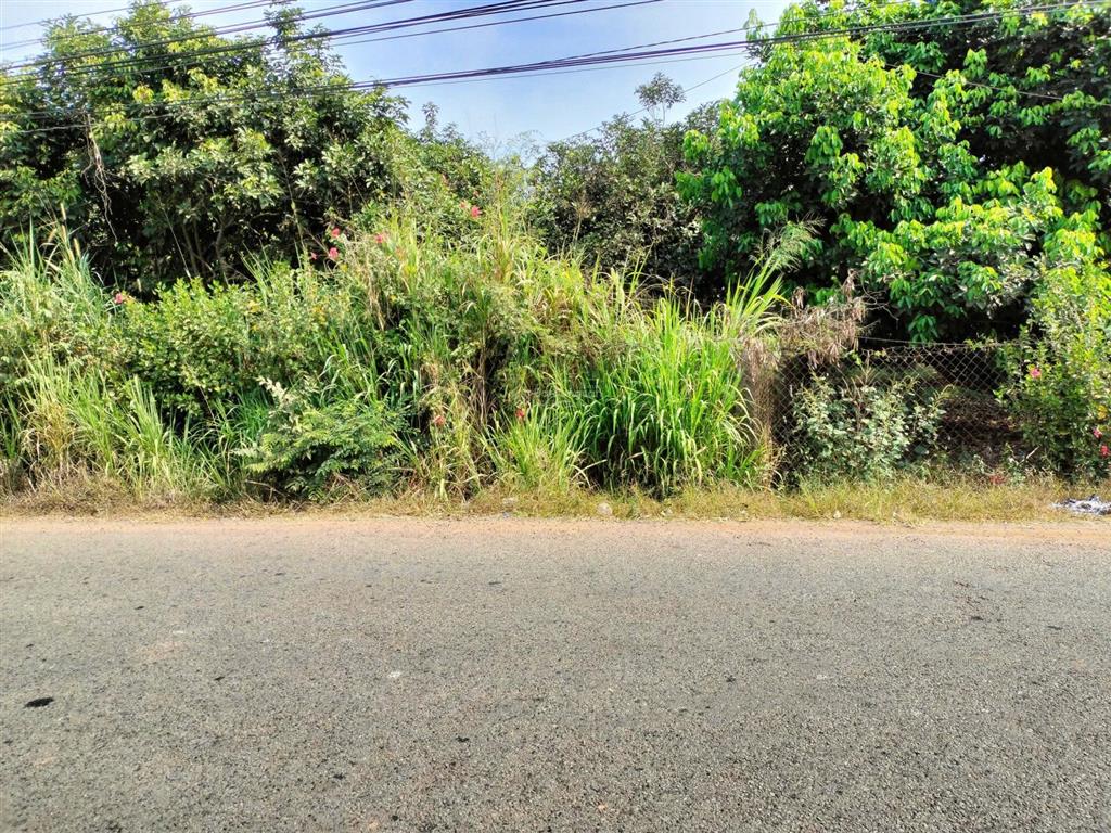 9.9 tỷ lô đất 2.697m2, 57m mặt tiền đường cầu mên, bình an, long thành, cách cổng b sân bay 5km