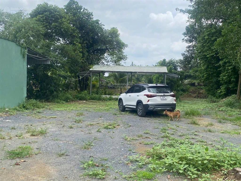 Khu đất view sông tân hạnh, biên hoà, phù hợp làm khu nghỉ dưỡng, trang trai, 9,600m2, 2.000m2 thổ