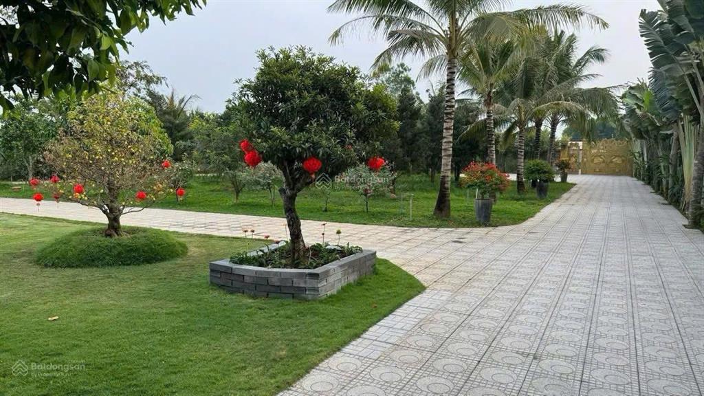 Bán khu nhà vườn nghỉ dưỡng ven sông đồng nai tân triều view sông, pháp lý đầy đủ, 300m2 thổ cư