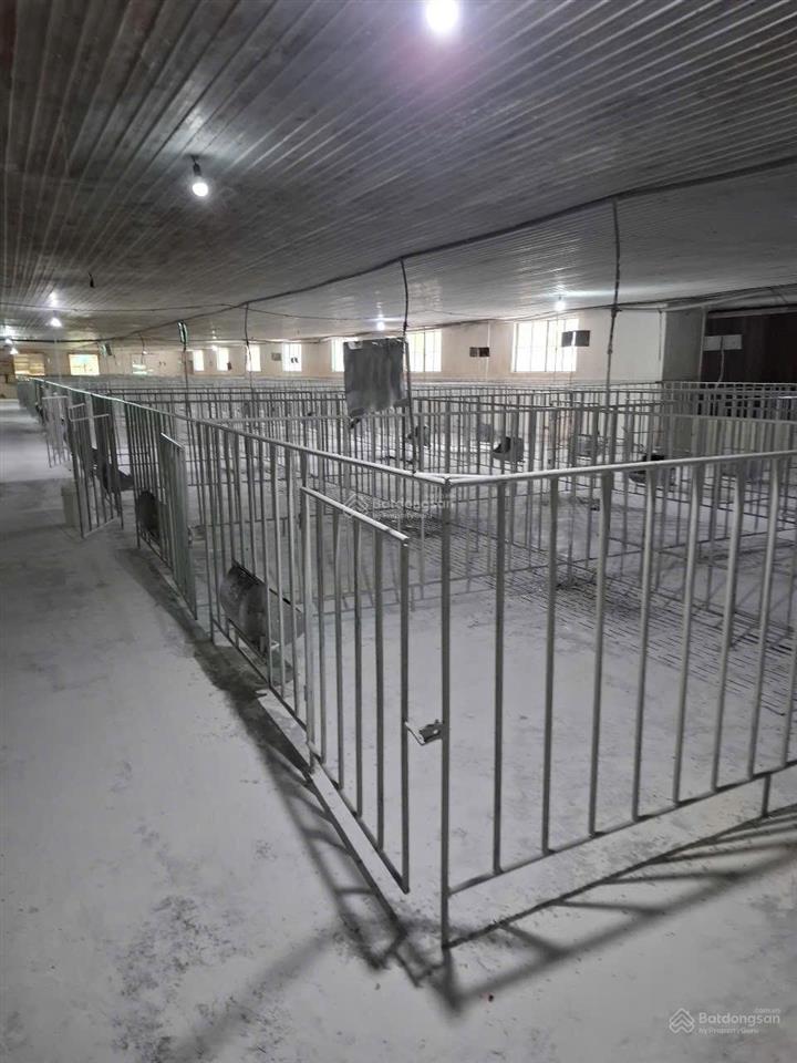 Cần bá.n trang trại có hoàn công bàu hàm,trảng bom, đồng nai, 2 mặt tiền 10.380m2, nhà yến 1000 tổ
