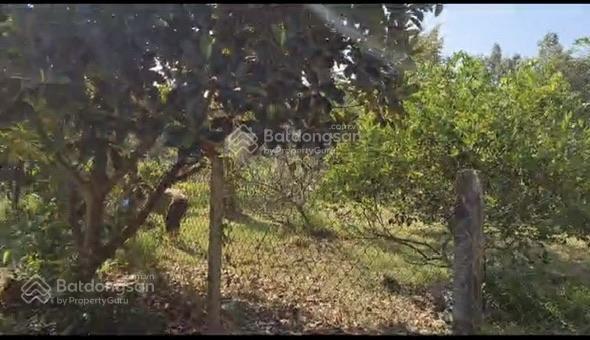 Cần bá.n trang trại có hoàn công bàu hàm,trảng bom, đồng nai, 2 mặt tiền 10.380m2, nhà yến 1000 tổ