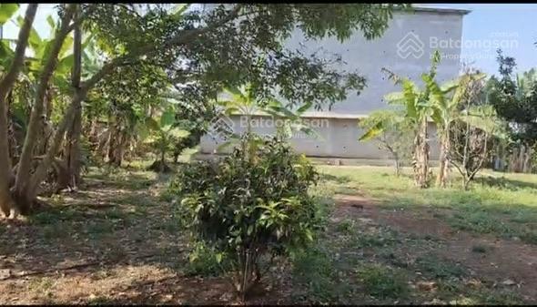 Cần bá.n trang trại có hoàn công bàu hàm,trảng bom, đồng nai, 2 mặt tiền 10.380m2, nhà yến 1000 tổ