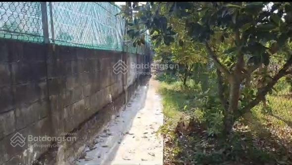 Cần bá.n trang trại có hoàn công bàu hàm,trảng bom, đồng nai, 2 mặt tiền 10.380m2, nhà yến 1000 tổ