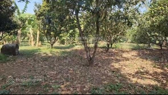 Cần bá.n trang trại có hoàn công bàu hàm,trảng bom, đồng nai, 2 mặt tiền 10.380m2, nhà yến 1000 tổ