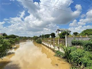 Cần bán 1335m ven sông hẻm 1 làng bưởi tân triều sẵn 256m2 thổ cư mấy chục cây bưởi lão nhà homstay