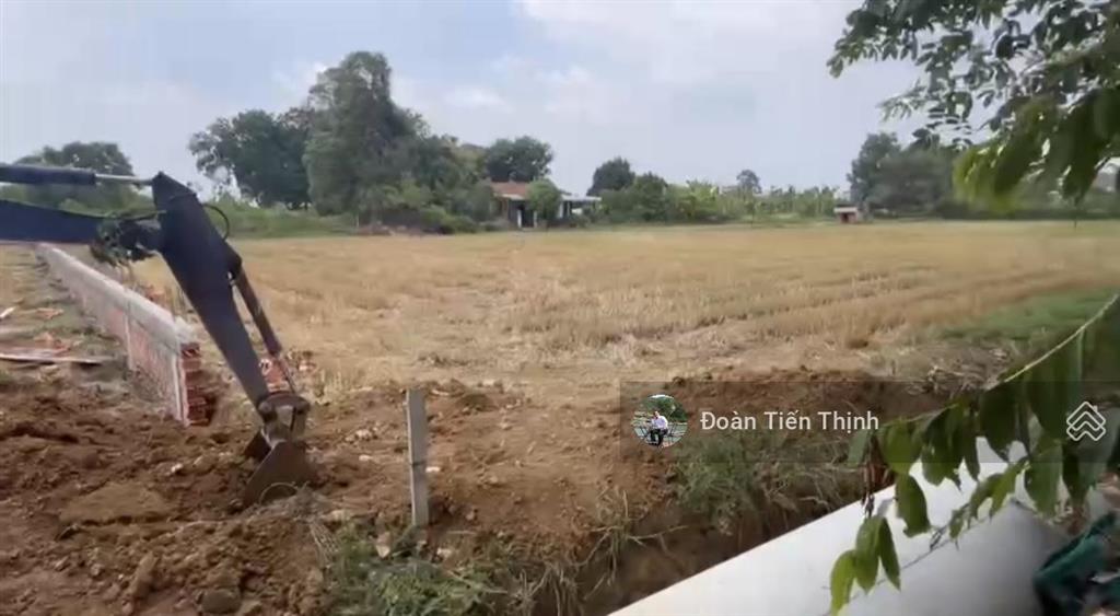 Đất 2677.2m2 cù lao thạnh hội giá 3.4 tr/m2, ngang 32m