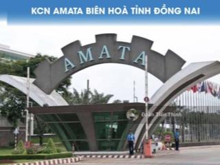 Cho thuê nhà xưởng xây dựng mới  kcn amata, tp đồng nai
