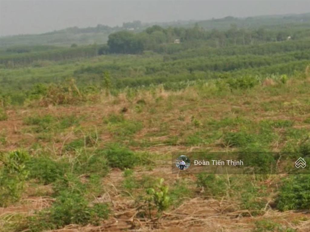 Mỏ đá phước bình long thành đồng nai. (chưa khai thác)