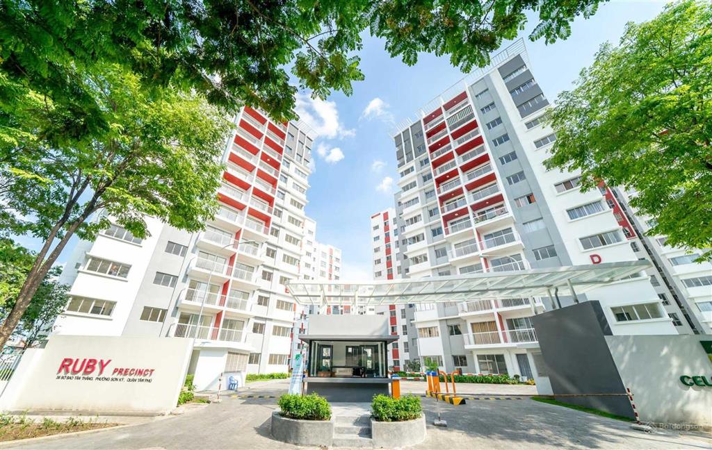 Cho thuê căn hộ ruby  celadon city, tân phú