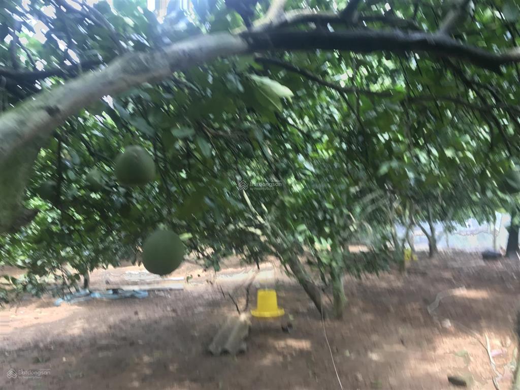 Bán đất nền 150 m2 tại số 17 hoàng yến, đoài phương, hà nội 4,5 tỷ vnd full thổ cư đt 0982 853 ***