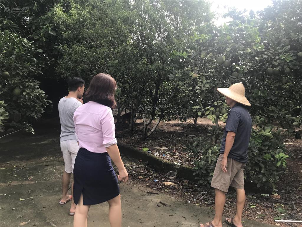 Bán đất nền 150 m2 tại số 17 hoàng yến, đoài phương, hà nội 4,5 tỷ vnd full thổ cư đt 0982 853 ***