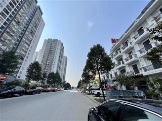 Tổng hợp liền kề, biệt thự, shophouse tại kđt mới đại kim hacinco nguyễn xiển t2/2026