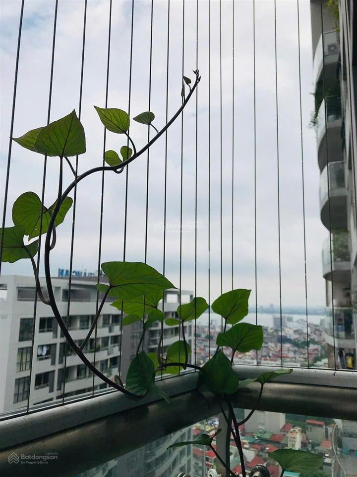 Chủ nhà gửi bán căn 03 tòa ct2a chung cư tràng an complex số 1 phùng chí kiên