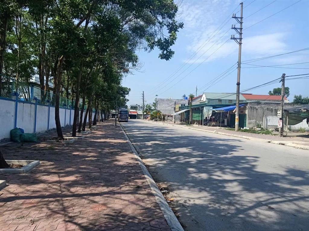 Chính chủ cần bán mảnh đất mặt đường đối diện nhà máy giày annora tại tĩnh gia, thanh hóa 3,9 tỷ
