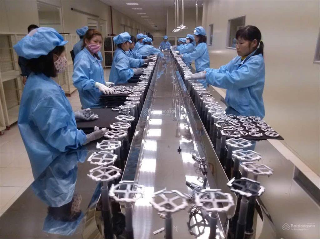 Bán nhà máy kcn quế võ 1 bắc ninh, chủ giảm chào từ 100 tỷ xuống còn 55 tỷ