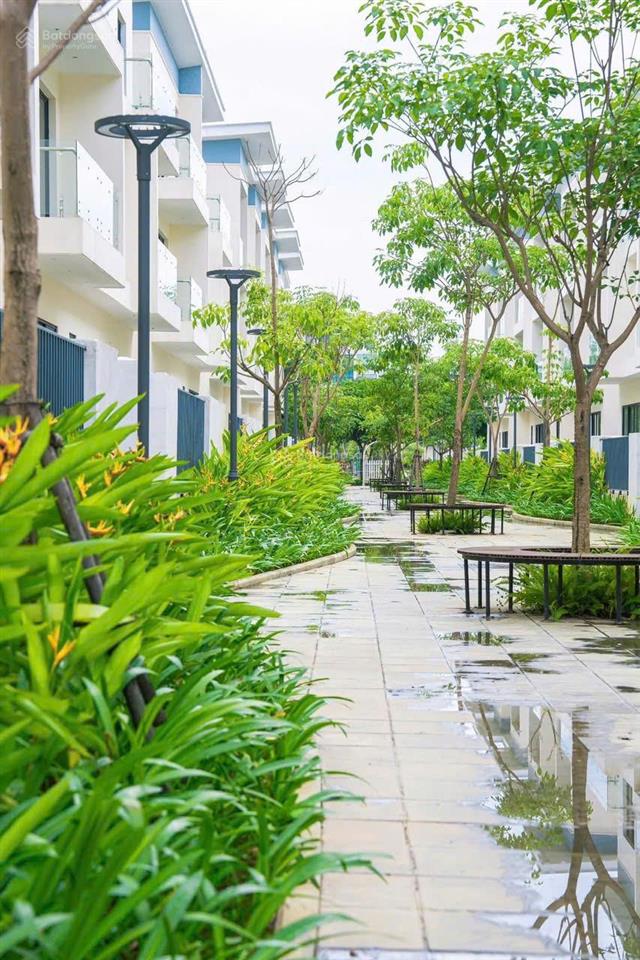 Tổng hợp các lô biệt thự cắt lỗ sâu, an quý villa dương nội. 180m2, 198m2, 250m2. rẻ hơn cdt 10 tỷ