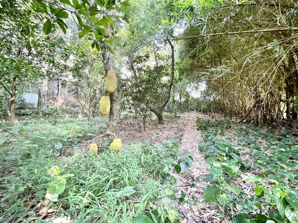 Cho thuê kiểu biệt thự tại ngọc thụy, long biên sân vườn rộng 1.100m2, view sông. giá 30tr/tháng