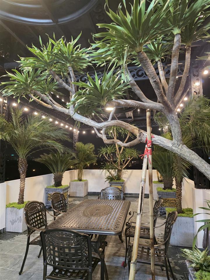 Bán gấp nhà 8 tầng/ 80m² mặt phố kẻ tạnh, p việt hưng giá chưa đến 30 tỷ tl trực tiếp chính chủ