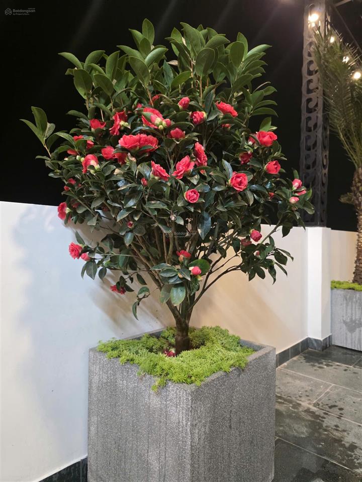 Bán gấp nhà 8 tầng/ 80m² mặt phố kẻ tạnh, p việt hưng giá chưa đến 30 tỷ tl trực tiếp chính chủ