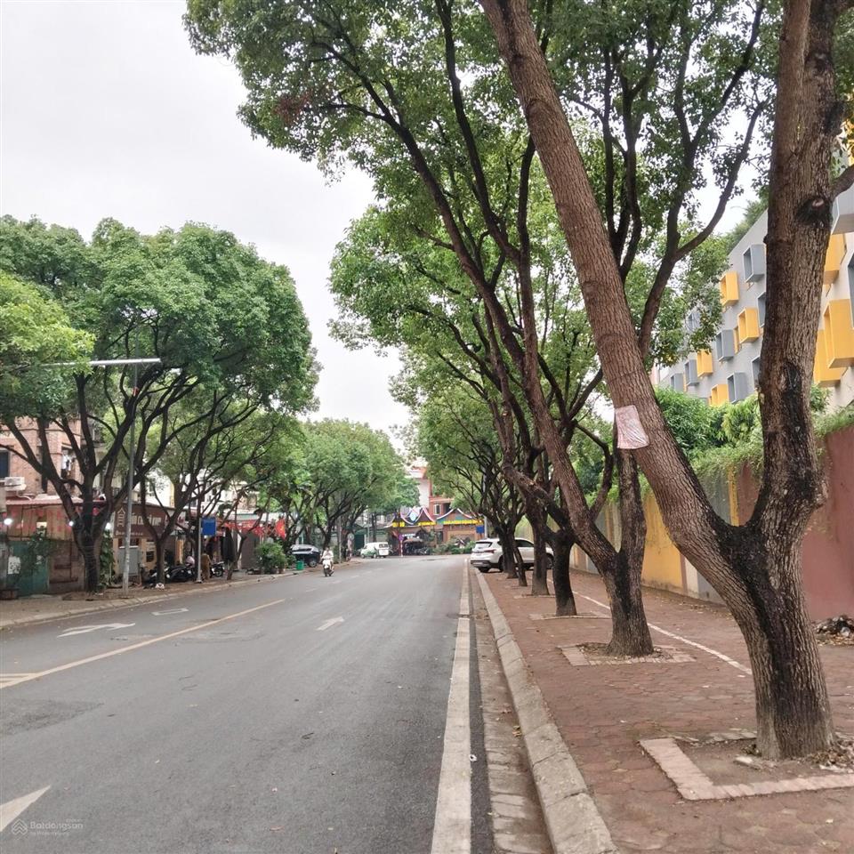 Chỉ hơn 40 tỷ biệt thự 178m, nhà thô 3,5 tầng, hiếm bán, giá tốt cần bán