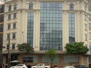 Cho thuê mặt bằng, văn phòng toà mặt phố mạc thái tông  cầu giấy hà nội. toà 7 tầng 1 hầm