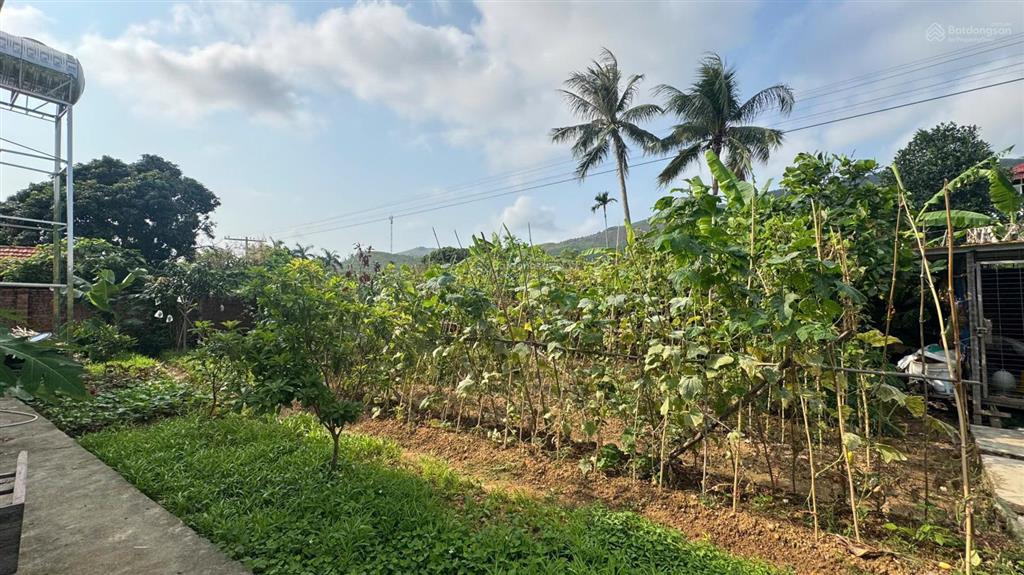 Nhà vườn 1200m² tại nam trung, nam khê, uông bí  không gian sống xanh, nghỉ dưỡng lý tưởng